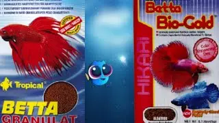 Superfood for fish? * Fish food review
