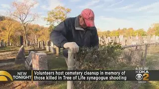 Volunteers host cemetery cleanup ahead of Tree of Life shooting anniversary