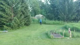 DJI Spark Dronie Mode Not Working