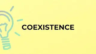 What is the meaning of the word COEXISTENCE?