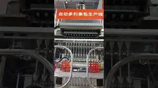 MULTI LANE AUTOMATIC PACKAGING MACHINE