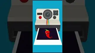 Polaroid Animation in Adobe Animate