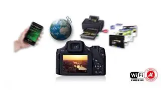 Компактный фотоаппарат Canon Power Shot SX60HS: основные функции