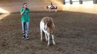 Zirkuslektionen mit Tilli