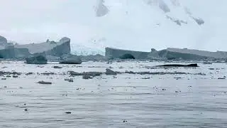 Whale at Cierva cove zodiac 11- Quark Expeditions World Explorer - Antarctica Cruise day 7