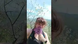&Scaron;etnja Ple&scaron; Shot