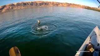 Kayak Fishing for Smallmouth Bass in Eastern WA-Sept 2018