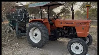 Sarson Mustard #viralvideo #automobile #funny #whowillbemylifepartnerta #nothingimposibleinthisworld