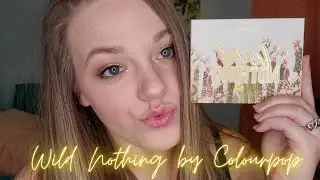 |TRYING THE NEW WILD NOTHING PALETTE FROM COLOURPOP|