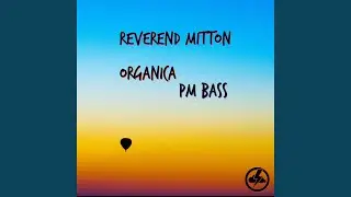 PM Bass