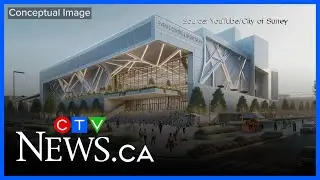 Calls for transparency about Surrey stadium