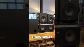 FOCAL ALPHA EVO 🔊 #focal #focalmonitors #alphaevo #unitedmusic