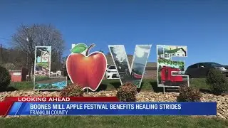 Boones Mill Apple Festival benefits Healing Strides