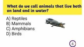 Top Interesting General Knowledge Question and Answer l GK l Current Affairs l