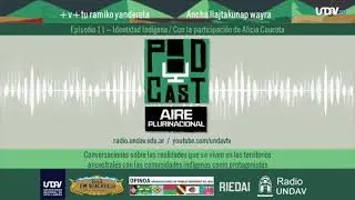 Aire Plurinacional | Identidad Ind&iacute;gena