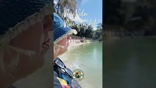 Discover the HIDDEN GEM of Florida's Clear Springs