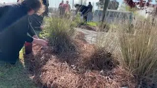 Scatter Garden Memorial