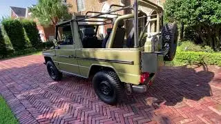 Mercedes GD250 Wolf Walkaround