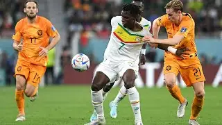 Netherlands vs Senegal 2-0 World cup Highlights HD