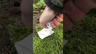 How to start a fire with an empty lighter and paper 🔥 #bushcraft #wald #natur #schweden #survival