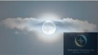 LUNAR STILLNESS | 432Hz Night Frequency: Deep Sleep Induction & Muffled Brown Noise