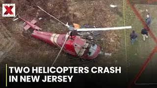 Two Helicopters Collide Mid Air In New Jersey FAA And NTSB Investigating | NewsX World