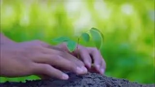 Earth Day | 22 April | Whatsapp Status 2022
