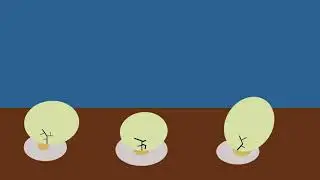 Egg cracking animation