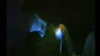 New Order: Everything's Gone Green @ Berlin 1981