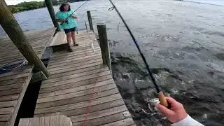 Double Hookup Salt Water Cats in Brackish Water! #catfish #dockfishing