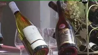 Le vin à l'honneur à Saint-Rémy de Provence