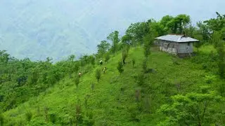 Nagaland Wildlife Conservation by the Local Villagers&mdash;English Information