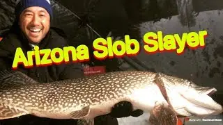 Pike Ice Fishing - Arizona Pike Slayer