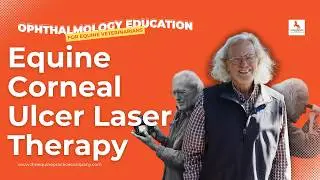 Equine Corneal Ulcer Laser Therapy: Low-Cost Collagen Boosting Technique