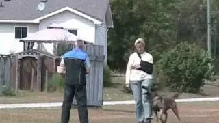 Joanne & Fila vom Teufelhund VPG3 - C