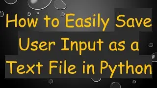 How to Easily Save User Input as a Text File in Python