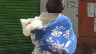 Part 5 Covid-19 Coronavirus Nepal Lockdown from Kathmandu Food Line Monkey and more