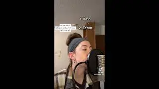 Amie-Pure Prairie League (Harmony Stack by Eva Marie)