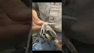 How to hook a plastic minnow body so that it is straight on a jig #jigfishing #jigging #bassfishing
