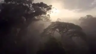Andrew Bayer - A Brief Interlude (Fan Made Video)