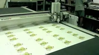 Digital Kiss-Cutting & Die-Cutting