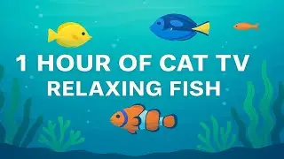 1 Hour of Cat TV &ndash; Relaxing Fish for Cats to Watch