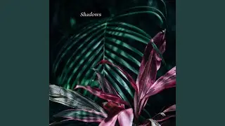 Shadows