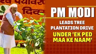 LIVE: PM Modi Flags Off Electric Bus & Launches Tree Plantation Campaign | 'Ek Ped Maa Ke Naam'