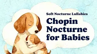 Chopin Nocturne for Babies 🐶 | 1 Hour Soft Classical Sleep Music for Babies & Toddlers