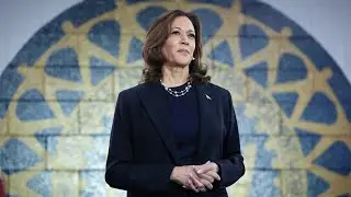 &lsquo;Completely delusional&rsquo; Kamala Harris will &lsquo;probably run again&rsquo; for President
