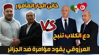عاجل منصف المرزوقي يتآمر على الجزائر لإشعال حـ.ـر ب بين الجزائر وتونس