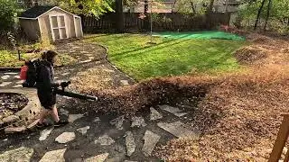 Echo PB9010T vs Minnesota&rsquo;s Leafiest Yard