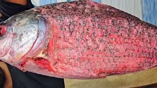 sagar fish world hoodi is live