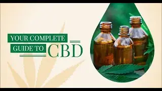 National Hemp Day: Your Complete Guide to CBD
